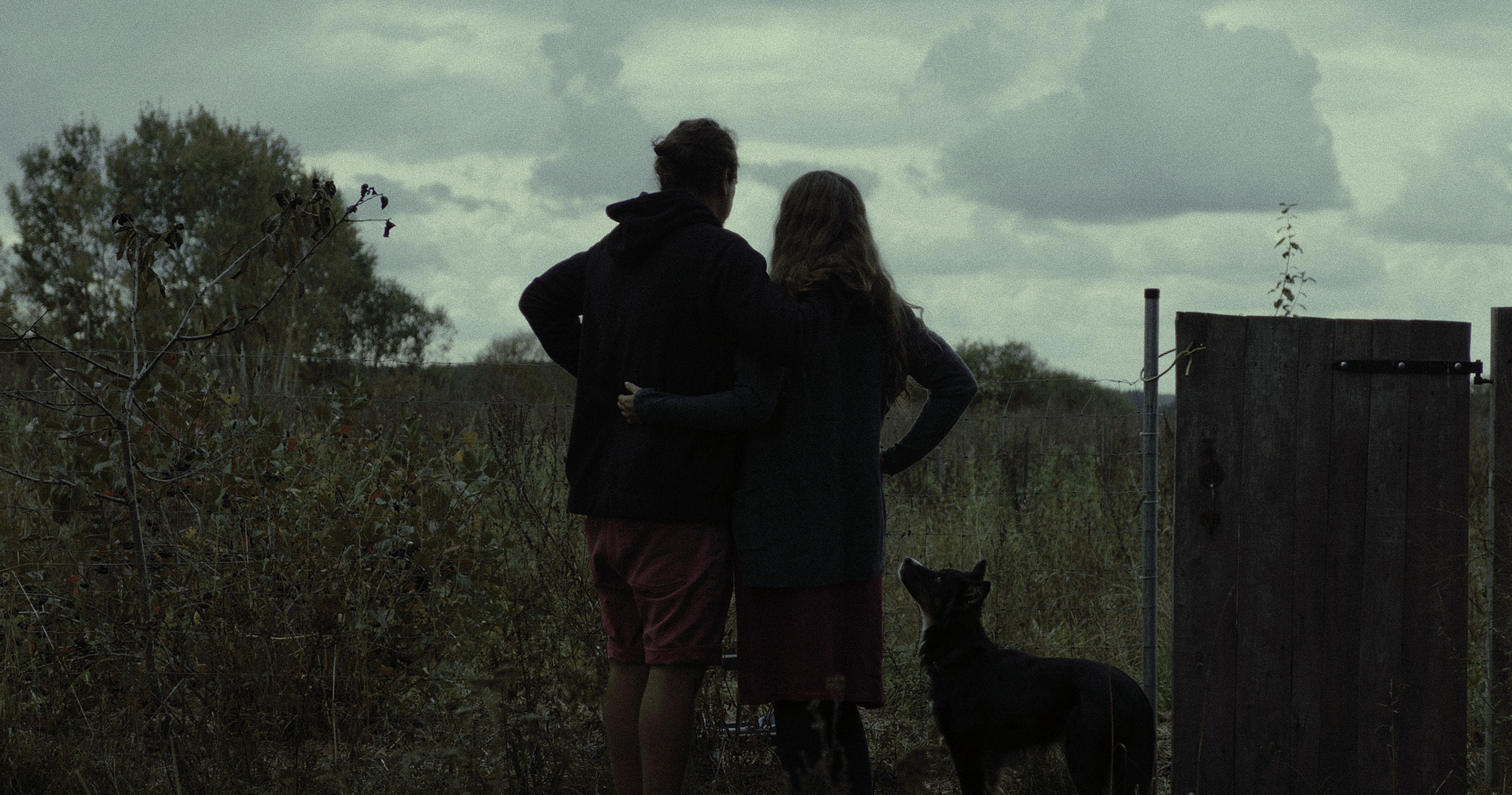 Las, 2024, directed by: Lidia Duda, written by: Lidia Duda, cinematography by: Zuzanna Zachara-Hassiti, countries: Polska, Czechy, Produkcja: Fundacja Filmowa Lumisenta, W koprodukcji z: Lonely Production, Studio Filmowe Rabarbar, Canal+ Polska, EC1 Łódź – Miasto Kultury, Lidia Duda, Ze wsparciem: Polski Instytut Sztuki Filmowej, Czeski Fundusz Filmowy, Agent Sprzedaży: Rise and Shine World Sales, Dystrybucja: Watch Docs, Nagrody & Wyróżnienia: Srebrny Aleksander – Thessaloniki International Documentary Festival, 2024, Grand Prix – Millennium Docs Against Gravity, 2024, Nagroda Amnesty International – Millennium Docs Against Gravity, 2024, Najlepszy Film – Astra Film Festival, Rumunia, 2024, Nagroda „Everyday Fears” – Budapest International Documentary Festival, 2025, Nagroda Młodych Krytyków – Festiwal Mediów „Człowiek w zagrożeniu”, 2025, Nominacja do Polskiej Nagrody Filmowej – Najlepszy Film Dokumentalny, 2025, Najlepsze Zdjęcia – Nagroda Stowarzyszenia Autorów Zdjęć Filmowych (PSC), 2025, Nagroda Ji.hlava New Vision Forum, 2024, Markety & Warsztaty: Future Docs (Watch Docs x AFF), Ji.hlava New Vision Forum, Progress Pitching Session – MDAG Industry, Sheffield MeetMarket, Pitching Forum – Watch Docs, East Silver Market