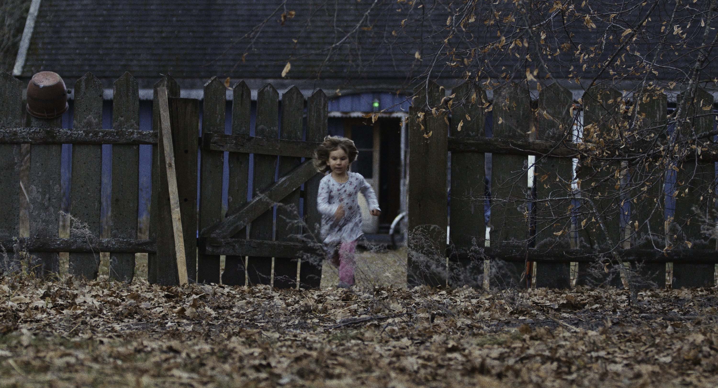 Las, 2024, directed by: Lidia Duda, written by: Lidia Duda, cinematography by: Zuzanna Zachara-Hassiti, countries: Polska, Czechy, Produkcja: Fundacja Filmowa Lumisenta, W koprodukcji z: Lonely Production, Studio Filmowe Rabarbar, Canal+ Polska, EC1 Łódź – Miasto Kultury, Lidia Duda, Ze wsparciem: Polski Instytut Sztuki Filmowej, Czeski Fundusz Filmowy, Agent Sprzedaży: Rise and Shine World Sales, Dystrybucja: Watch Docs, Nagrody & Wyróżnienia: Srebrny Aleksander – Thessaloniki International Documentary Festival, 2024, Grand Prix – Millennium Docs Against Gravity, 2024, Nagroda Amnesty International – Millennium Docs Against Gravity, 2024, Najlepszy Film – Astra Film Festival, Rumunia, 2024, Nagroda „Everyday Fears” – Budapest International Documentary Festival, 2025, Nagroda Młodych Krytyków – Festiwal Mediów „Człowiek w zagrożeniu”, 2025, Nominacja do Polskiej Nagrody Filmowej – Najlepszy Film Dokumentalny, 2025, Najlepsze Zdjęcia – Nagroda Stowarzyszenia Autorów Zdjęć Filmowych (PSC), 2025, Nagroda Ji.hlava New Vision Forum, 2024, Markety & Warsztaty: Future Docs (Watch Docs x AFF), Ji.hlava New Vision Forum, Progress Pitching Session – MDAG Industry, Sheffield MeetMarket, Pitching Forum – Watch Docs, East Silver Market