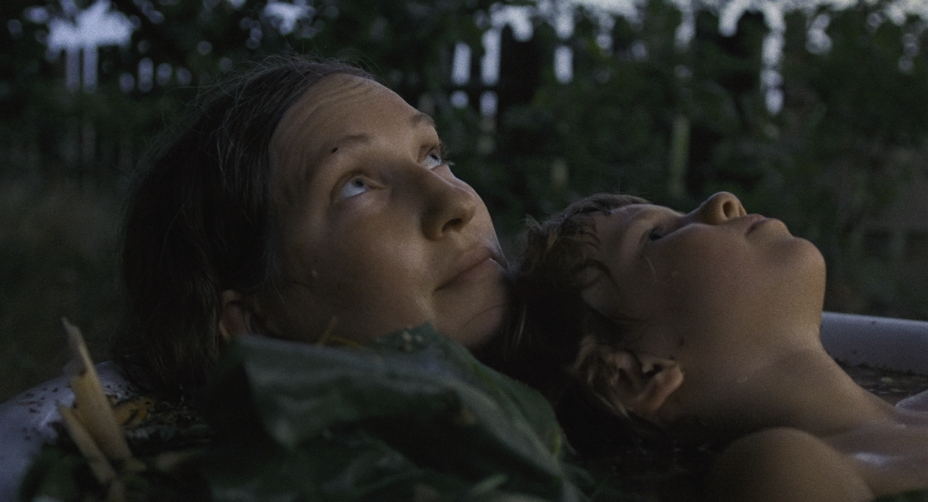 Las, 2024, directed by: Lidia Duda, written by: Lidia Duda, cinematography by: Zuzanna Zachara-Hassiti, countries: Polska, Czechy, Produkcja: Fundacja Filmowa Lumisenta, W koprodukcji z: Lonely Production, Studio Filmowe Rabarbar, Canal+ Polska, EC1 Łódź – Miasto Kultury, Lidia Duda, Ze wsparciem: Polski Instytut Sztuki Filmowej, Czeski Fundusz Filmowy, Agent Sprzedaży: Rise and Shine World Sales, Dystrybucja: Watch Docs, Nagrody & Wyróżnienia: Srebrny Aleksander – Thessaloniki International Documentary Festival, 2024, Grand Prix – Millennium Docs Against Gravity, 2024, Nagroda Amnesty International – Millennium Docs Against Gravity, 2024, Najlepszy Film – Astra Film Festival, Rumunia, 2024, Nagroda „Everyday Fears” – Budapest International Documentary Festival, 2025, Nagroda Młodych Krytyków – Festiwal Mediów „Człowiek w zagrożeniu”, 2025, Nominacja do Polskiej Nagrody Filmowej – Najlepszy Film Dokumentalny, 2025, Najlepsze Zdjęcia – Nagroda Stowarzyszenia Autorów Zdjęć Filmowych (PSC), 2025, Nagroda Ji.hlava New Vision Forum, 2024, Markety & Warsztaty: Future Docs (Watch Docs x AFF), Ji.hlava New Vision Forum, Progress Pitching Session – MDAG Industry, Sheffield MeetMarket, Pitching Forum – Watch Docs, East Silver Market