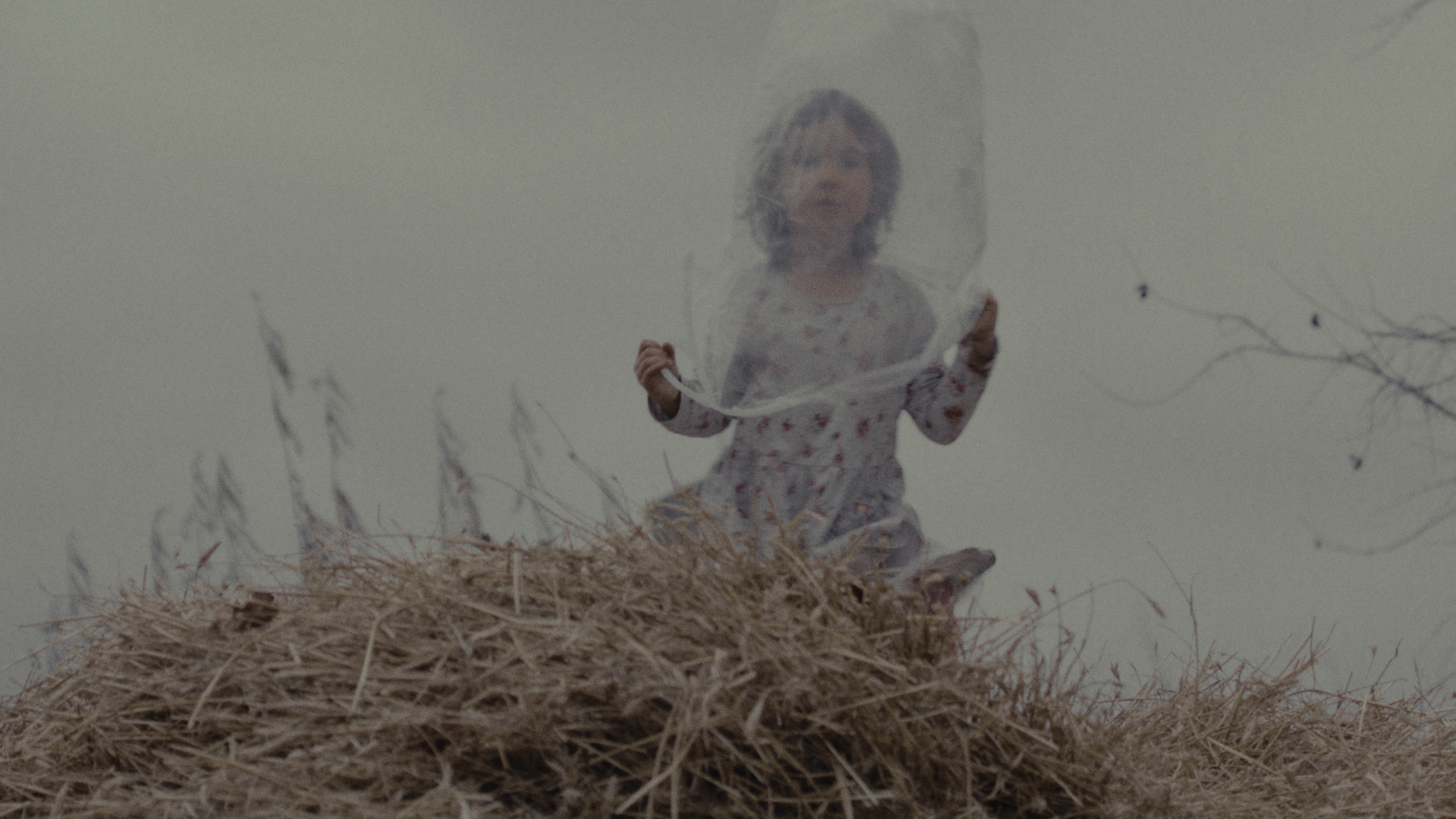 Las, 2024, directed by: Lidia Duda, written by: Lidia Duda, cinematography by: Zuzanna Zachara-Hassiti, countries: Polska, Czechy, Produkcja: Fundacja Filmowa Lumisenta, W koprodukcji z: Lonely Production, Studio Filmowe Rabarbar, Canal+ Polska, EC1 Łódź – Miasto Kultury, Lidia Duda, Ze wsparciem: Polski Instytut Sztuki Filmowej, Czeski Fundusz Filmowy, Agent Sprzedaży: Rise and Shine World Sales, Dystrybucja: Watch Docs, Nagrody & Wyróżnienia: Srebrny Aleksander – Thessaloniki International Documentary Festival, 2024, Grand Prix – Millennium Docs Against Gravity, 2024, Nagroda Amnesty International – Millennium Docs Against Gravity, 2024, Najlepszy Film – Astra Film Festival, Rumunia, 2024, Nagroda „Everyday Fears” – Budapest International Documentary Festival, 2025, Nagroda Młodych Krytyków – Festiwal Mediów „Człowiek w zagrożeniu”, 2025, Nominacja do Polskiej Nagrody Filmowej – Najlepszy Film Dokumentalny, 2025, Najlepsze Zdjęcia – Nagroda Stowarzyszenia Autorów Zdjęć Filmowych (PSC), 2025, Nagroda Ji.hlava New Vision Forum, 2024, Markety & Warsztaty: Future Docs (Watch Docs x AFF), Ji.hlava New Vision Forum, Progress Pitching Session – MDAG Industry, Sheffield MeetMarket, Pitching Forum – Watch Docs, East Silver Market