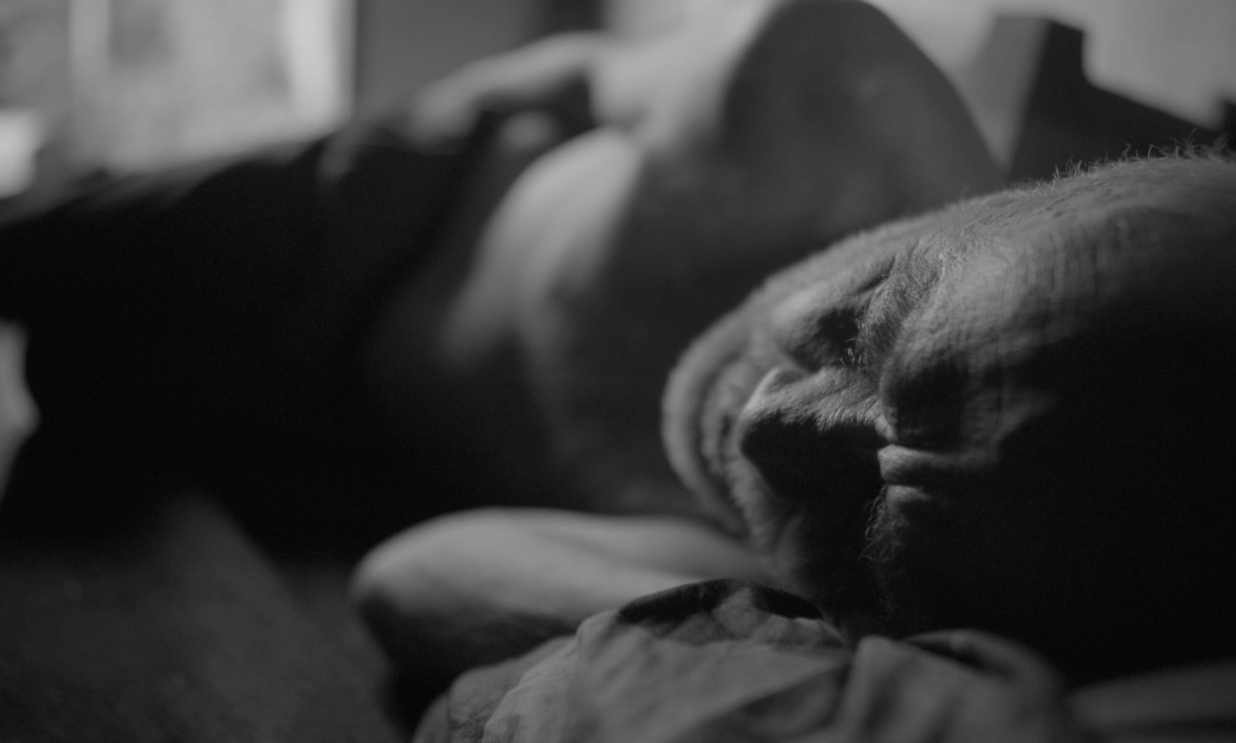 Na Tej Ziemi, 2021, directed by: Maciej Bogdański, written by: Maciej Bogdański, cinematography by: Nikodem Marek, countries: Polska, Produkcja: Fundacja Filmowa Lumisenta, PWSFTviT, Nagrody & Wyróżnienia: Najlepszy Film Studencki – Toronto International Women Film Festival 2024, Specjalne Wyróżnienie Jury – Spektrum Festival 2022, Filmfestival Kitzbühel, Austria, 2023, Thess International Short Film Festival, Grecja, 2023, Cinalfama Film Awards, Portugalia, 2023, Goa Short Film Festival, Indie, 2023, Najlepszy Montaż, Najlepsza Reżyseria, Najlepszy Film – Nagrody J. Machulskiego, WAMA Film Festival, Olsztyn, 2022