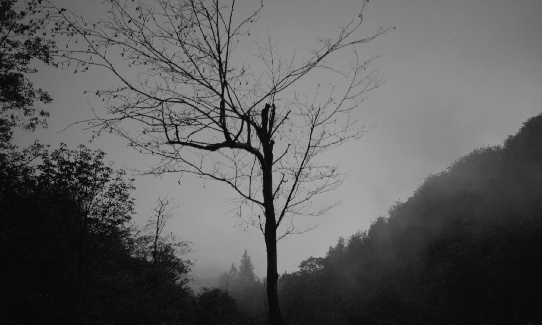 Na Tej Ziemi, 2021, directed by: Maciej Bogdański, written by: Maciej Bogdański, cinematography by: Nikodem Marek, countries: Polska, Produkcja: Fundacja Filmowa Lumisenta, PWSFTviT, Nagrody & Wyróżnienia: Najlepszy Film Studencki – Toronto International Women Film Festival 2024, Specjalne Wyróżnienie Jury – Spektrum Festival 2022, Filmfestival Kitzbühel, Austria, 2023, Thess International Short Film Festival, Grecja, 2023, Cinalfama Film Awards, Portugalia, 2023, Goa Short Film Festival, Indie, 2023, Najlepszy Montaż, Najlepsza Reżyseria, Najlepszy Film – Nagrody J. Machulskiego, WAMA Film Festival, Olsztyn, 2022