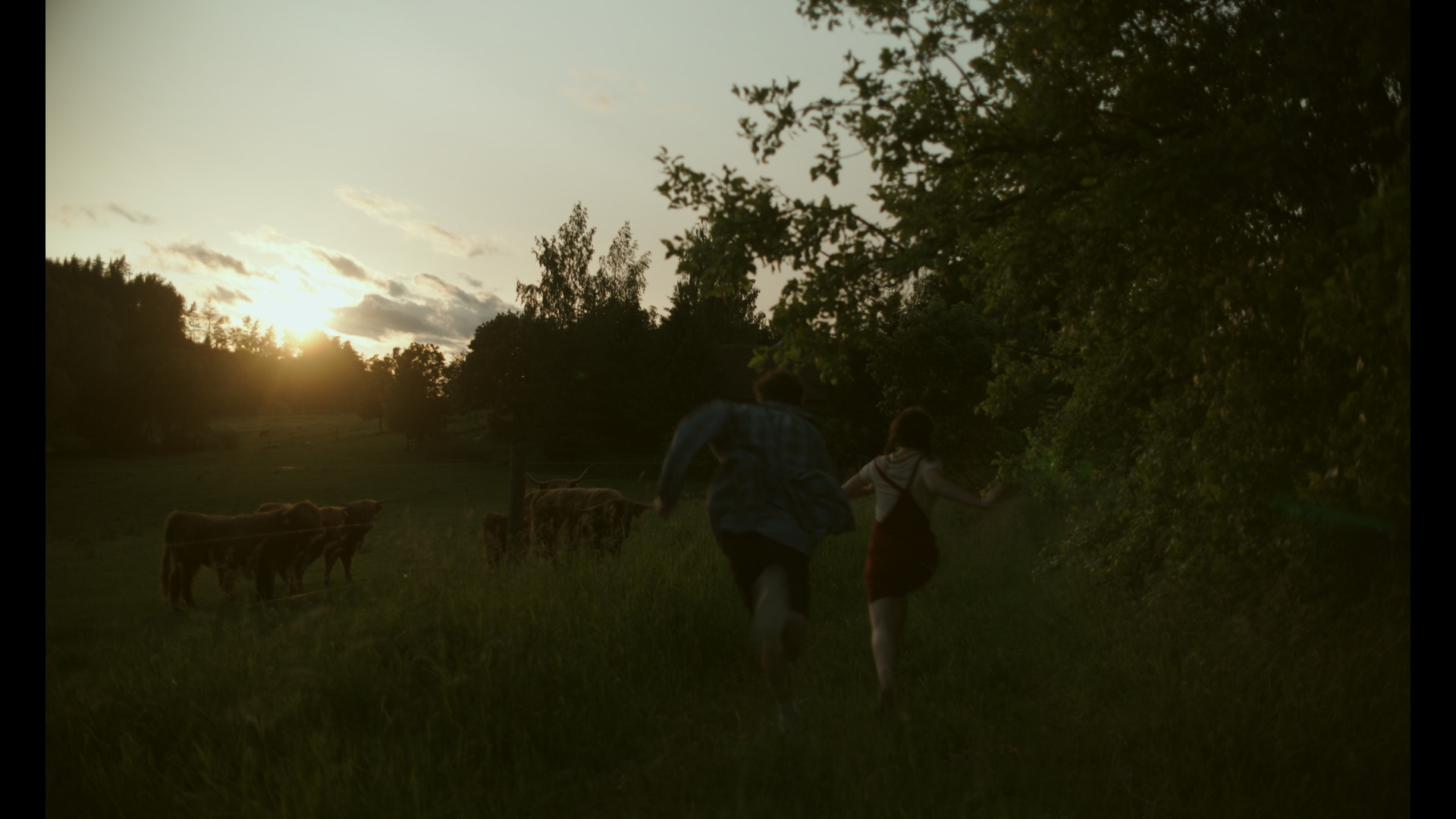 Sick, stage: Postprodukcja, directed by: Agata Trzebuchowska, written by: Agata Trzebuchowska, cinematography by: Maciej Edelman, countries: Polska, Produkcja: Fundacja Filmowa Lumisenta, W koprodukcji z: MMW CONS Michał Wilamowski, Igor Sarzyński, Bahama Films Wiktor Piątkowski, Lucky Bob Sp z o.o., Bravia Logistyka Marek Sklinda, Agata Trzebuchowska, Maciej Edelman, Cineline edelivery Sp. Z o.o., Filmnovation Sp. Z o.o., M-Sound Mikołaj Tyrakowski, Ol-G Film Olga Kowalczyk, beHonest Bartosz Bretes, BIS S.C. Tomasz Sielecki, Tomasz Naruszewicz, Anna Axer Fijałkowska, Nagrody & Wyróżnienia: Script Pro 2025, Markety & Warsztaty: Polish Days Nowe Horyzonty WiP 2025, Arras Days WiP 2025