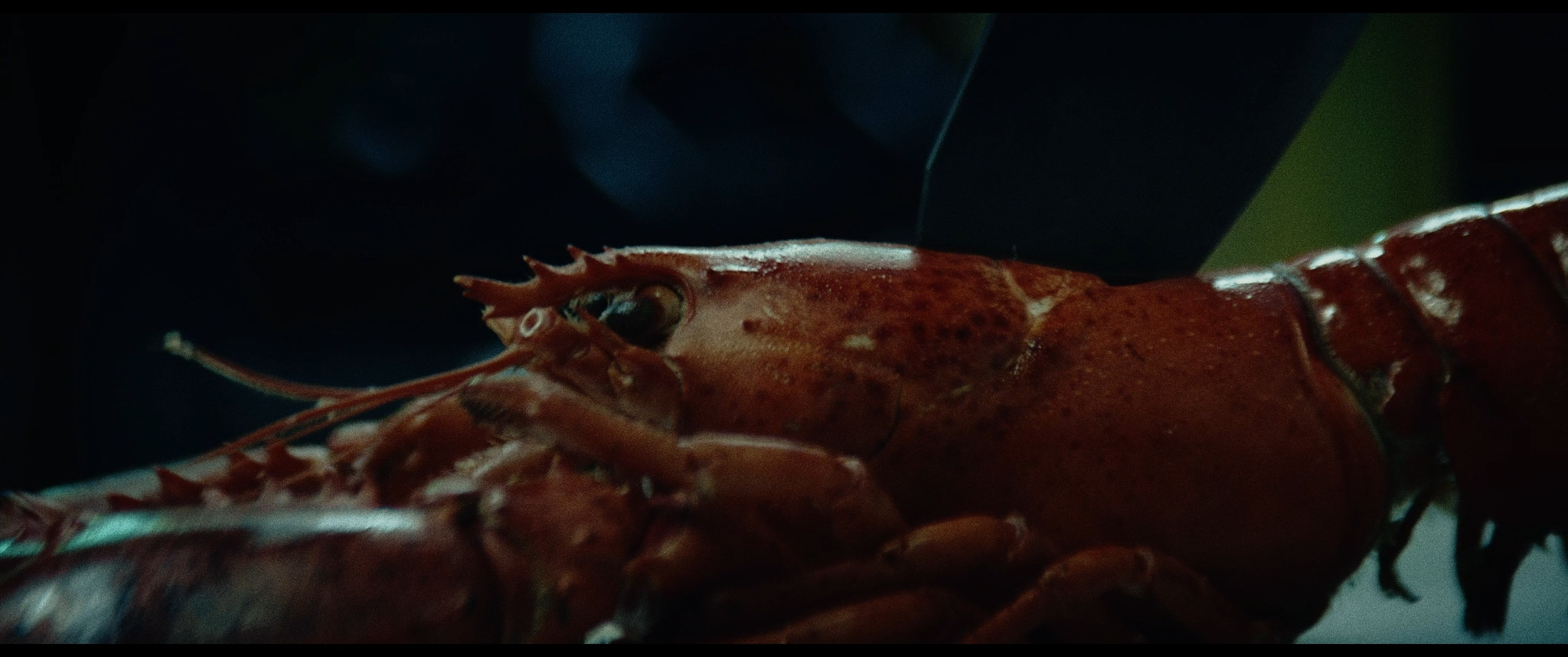 Serwis, 2024, directed by: Michał Edelman, written by: Michał Edelman, cinematography by: Nikodem Marek, countries: Polska, Produkcja: PWSFTviT, Nagrody & Wyróżnienia: Grand Prix Konkursu Krótkometrażowych Filmów Warszawskiego Festiwalu Filmowego 2024, Nagroda Publiczności Warszawskiego Festiwalu Filmowego 2024, Nagroda J. Machulskiego za Najlepszy Montaż 2025, Nagroda „Łodzią Po Wiśle” za Najlepszy Krótkometrażowy Film 2025, Nagroda „Łodzią Po Wiśle” za Najlepsze Zdjęcia 2025