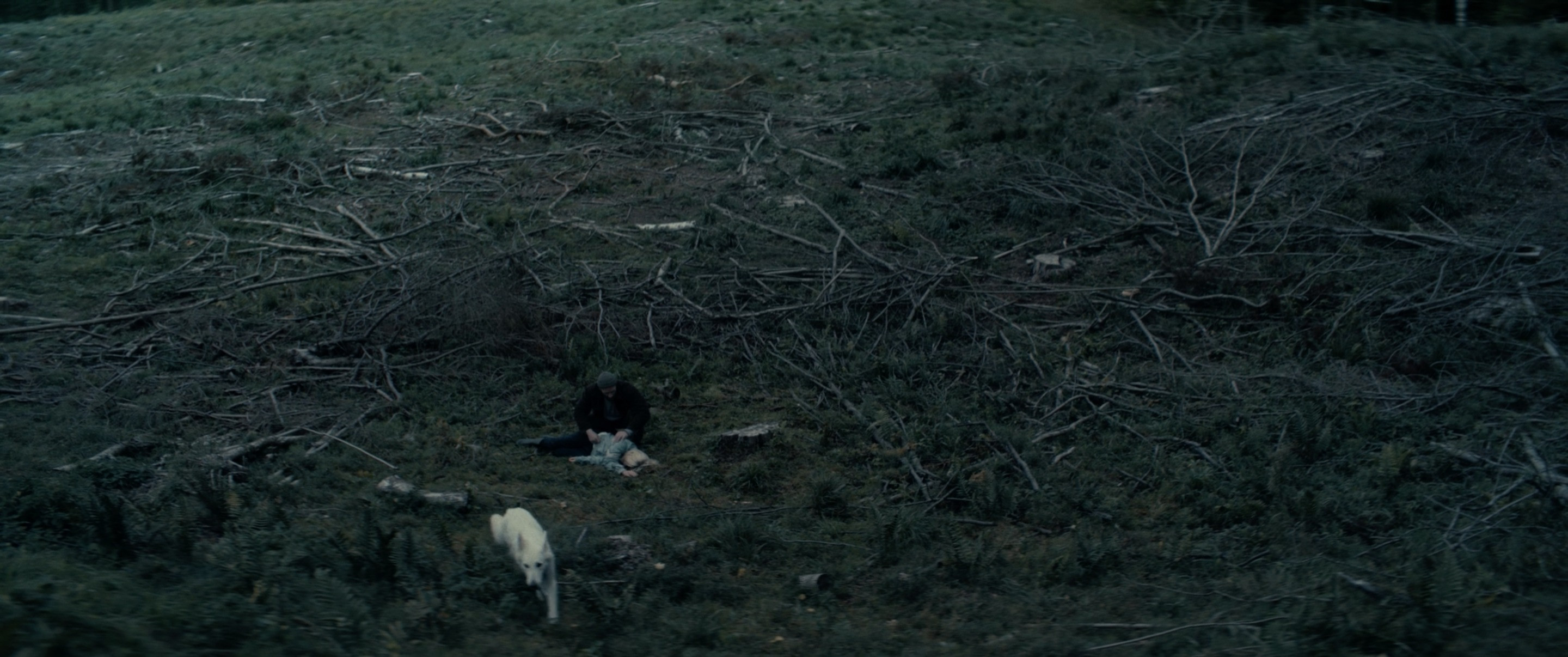 Kiedy Obróci się Dom, 2022, directed by: Maria Ornaf, written by: Maria Ornaf, cinematography by: Zuzanna Zachara-Hassairi, countries: Polska, Produkcja: Fundacja Filmowa Lumisenta, Państwowa Wyższa Szkoła Filmowa, Telewizyjna i Teatralna im. Leona Schillera w Łodzi., Nagrody & Wyróżnienia: 41. Festiwal Młodzi i Film, Koszalin, 2022, Polska (Najlepsze zdjęcia – Zuzanna Zachara-Hassairi) inne: Festiwal Polskich Filmów Fabularnych, Gdynia, 2022, Polska, WAMA Film Festival, Olsztyn, 2022, Włochy, (Nagroda Jury Warmii i Mazur im. Anny Wasilewskie), Festiwal Kamera Akcja, Łódź 2022, Polska, Nagrody im. Jana Machulskiego, Warszawa, 2022, Polska (Najlepszy Film) (Najepsza Reżyseria)(Najlepszy Montaż)(Nagroda Jury Warmii i Mazur im. Anny Wasilewskiej), ZOOM Festiwal Filmowy, Jelenia Góra, 2023, Polska, Freedom Film Festival, Radom, 2023, Polska, BNP Paribas Dwa Brzegi, Kazimierz Dolny, 2023, Polska (III Nagroda), Filmfestival Kitzbühel, Austria, 2023, Lubuskie Lato Filmowe, Łagów, 2023, Polska, Thess International Short Film Festival, Grecja, 2023, Cinalfama Film Awards, Portugalia, 2023, Goa Short Film Festival, Indie, 2023, RIFF - Rome Independent Film Festival, Włochy, 2023, KIN International Women's Film Festival, Macedonia, 2023, Toronto Women Film Festival, Kanada, 2024
(Najlepszy film studencki) Festival L'Europe autour de l'Europe, Francja, 2024